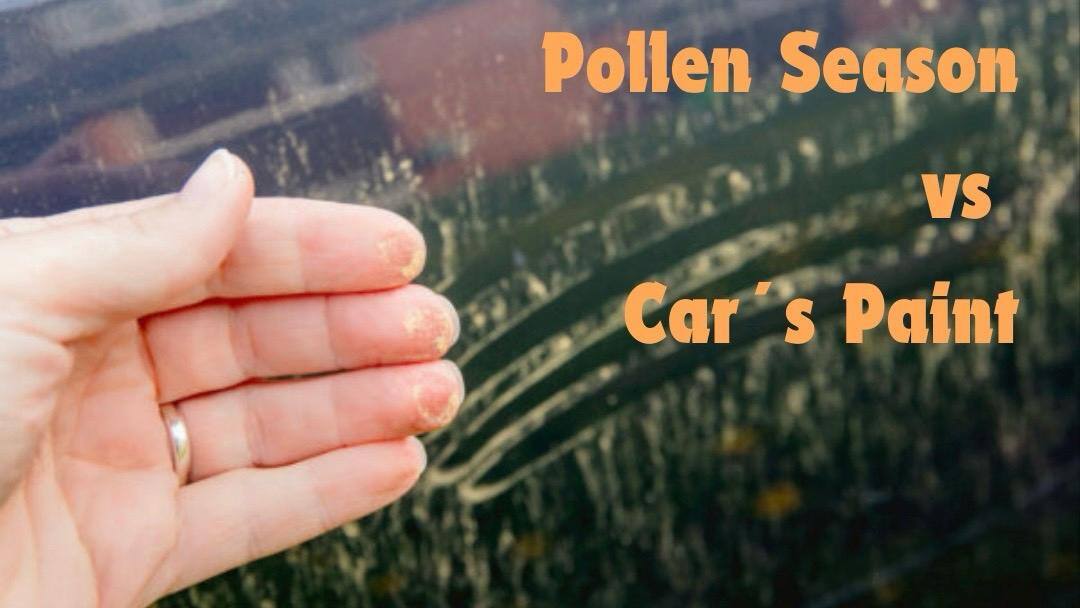 Pollen Car Paint